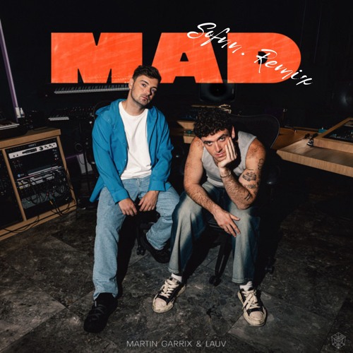 Mad (Sofnn. Remix) cover